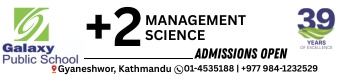 Galaxy Public School +2